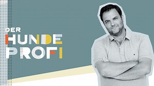 Folge 1 vom 17.08.2024 - Der Hundeprofi | RTL