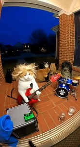 The cat paws band 2026 😍 | Ganap PH