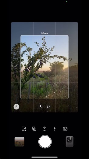 Dazzcam Aesthetic Camera Tutorial for Beautiful Photos and Videos