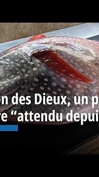 The Salmon of the Gods, “a legendary fish” awaited for 8 years