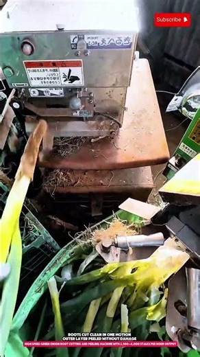 Automatic green onion root cutting and peeling machine with 2,500–4,000 stalks per hour output