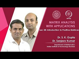 Introduction to Positive Matrices
