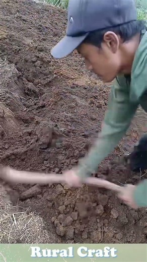 A farmer holds a flat-head shovel, turning and piling loose soil.#farming