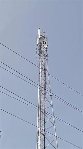 Pajeet commits suicide by jumping off a tower over his girlfriend marrying somebody else.