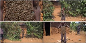 Man has body covered with bees for 30 years; he walks around with them in video