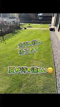 番外編！芝のお手入れの様子です！#家庭菜園 #畑#芝#姫高麗芝 #農業