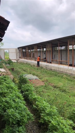 On peut construire un poulailler avec les moyens qu'on dispose .pas forcément comme les autres mais selon tes moyens ! Ferme Onesime | Ferme Onesime