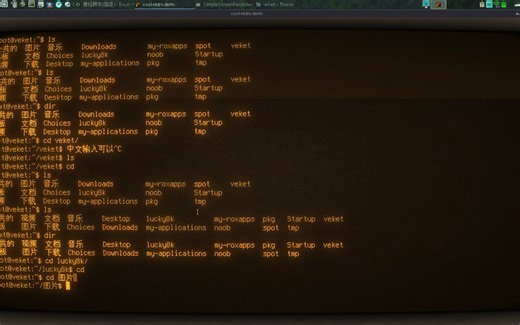 用复古的外观，模拟早期计算机系统的终端界面CoolRetroTerm