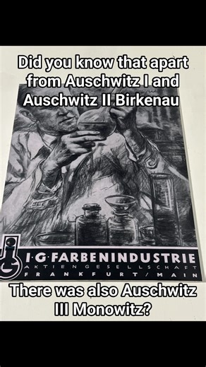In 1941, SS Chief Heinrich Himmler ordered the delivery of around 10,000 prisoners to work on constructing the IG Farbenindustrie chemical plant. However, the work was halted by a typhus epidemic in Auschwitz. Consequently, the decision was made to build a subcamp away from the main camp in Monowice (German name Monowitz). The company bought the land from the treasury for a knock-down price, after it had been seized from its Polish owners without compensation, their houses were vacated and demol
