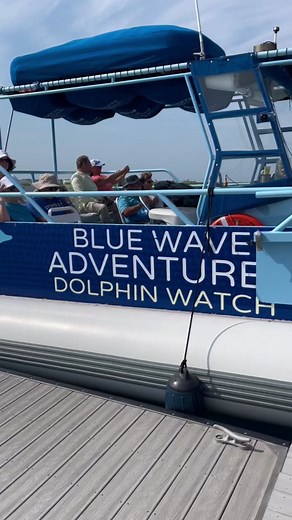 You never know what the dolphins are going to be up to on a Blue Wave Adventures Dolphin Watch Tour out of @CrazySisterMarina! 🐬 Beyond dolphins, keep an eye out for other remarkable sea creatures such as turtles, fish, stingrays, sharks, eagles, osprey, and herons. Led by a captain and crew with over two decades of experience, this tour emphasizes the ecology, wildlife, and beauty of the coast. Don’t miss out on this unforgettable marine adventure – book now! 🐢🐟🪼🦈🦅 Grab a coupon from the