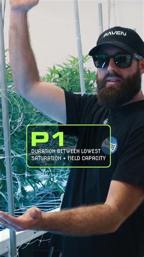 Extending the P1 Window - GRW EP0015 Clip