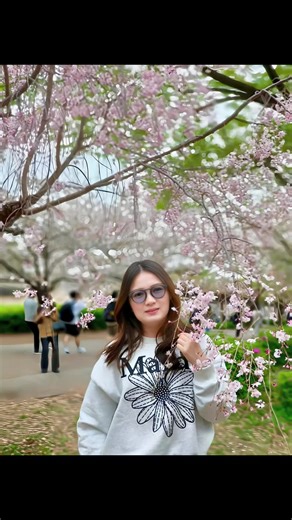 beautiful Sakura 🌸🌸🌸 #sakura #beautiful #japan #fyp