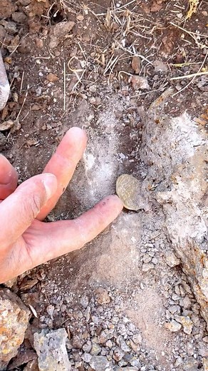 archaeologist | Treasure | Instagram