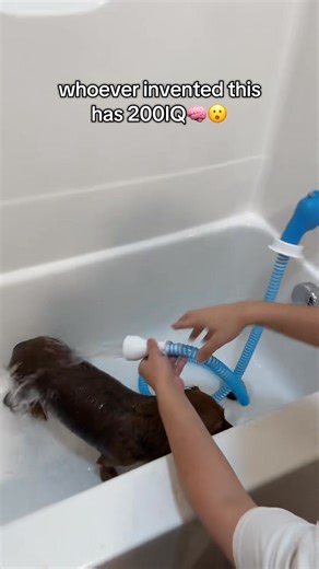 58K views · 287 reactions | Make Bath Time Stress-Free for You & Your Dog  | Noscove | Facebook