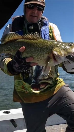 StumpJumpers NEVER fail! 🪵🐟