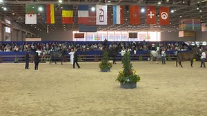 16 reactions | Vous adorez les vidéos Best OF ? À vous le résumé du Championnat International du cheval Barbe. | Salon du Cheval d'El Jadida | Facebook