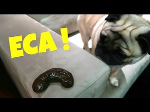 JOHN FEZ MUITA BAGUNÇA