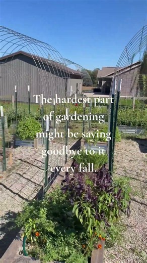 Closing Down the Garden for Fall 🌱 | End of Garden Season