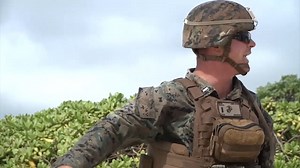 2.6K views · 212 reactions | For 246 years, the brave men and women of the U.S. Marine Corps have defended our country and our freedom. Happy Birthday, Marines! Semper Fidelis. ️: DVIDS/Petty Officer 2nd Class Michael Raney | USO | Facebook