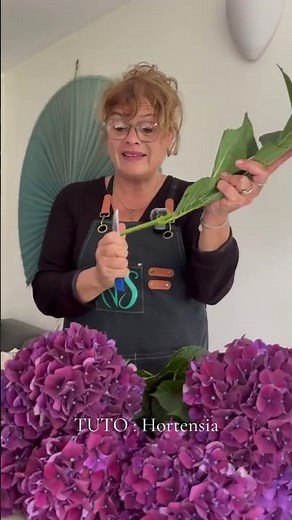 TUTORIAL: How to dry a hydrangea 🌷 Want to see more?🙂
