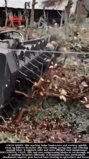 Powerful Branch Clearing Machine After Tree Cutting! #shorts