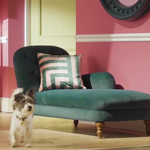 Bold patterns and dramatic seating arrangements are the spring essentials for your home (you couldn’t blame him for claiming it for himself) 🐶 Shop the New Eclectics trend now: https://jland.partners/NewEclectics | John Lewis & Partners