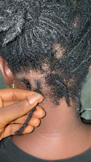 How to interlock traditional locs #interlock #locs #dreads #traditionallocs
