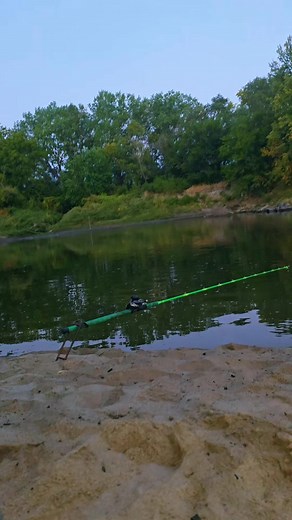 282K views · 3.1K reactions | I was completely slumped  when this massive Flathead woke me up to my clicker screaming. 瞧 #flatheadcatfish #fypage #wakeupcall #toughestfrickenrods #takedownrodholders #midatlanticcatfishco | Flathead Doty | Facebook