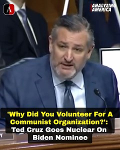 Sarah Palin on Reels