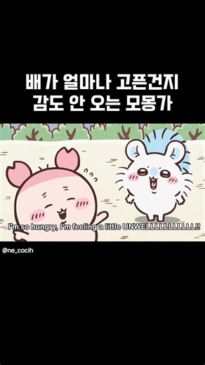 얼마나 배고픈지 감도 안 오는 모몽가 샤우팅