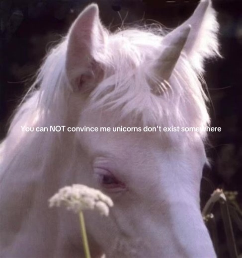 The Enduring Myth of Unicorns: Do They Exist?