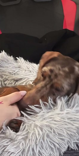 Adorable Baby Crying Compilation Reaction | @f.ukuro @f.ukurospam.f.ukuro funada