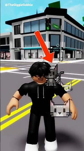 How To Get 8 Bit Tabby Cat in Roblox Brookhaven RP!? #roblox #brookhaven #shorts