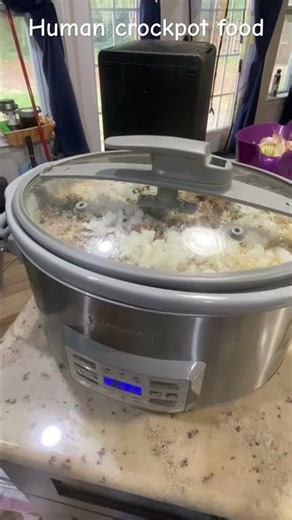 Human crockpot food while homemade dogfood on pot of stove