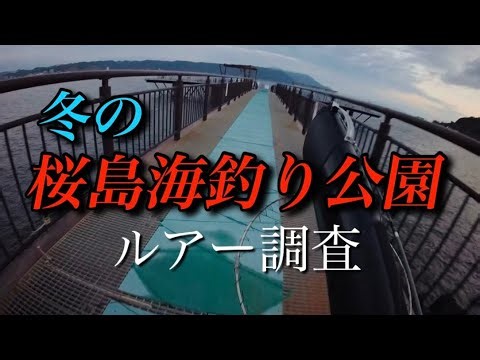 冬の桜島海釣り公園で釣りしてみた❗️#ショアジギング #鹿児島釣り #パックロッド #トップウォーター