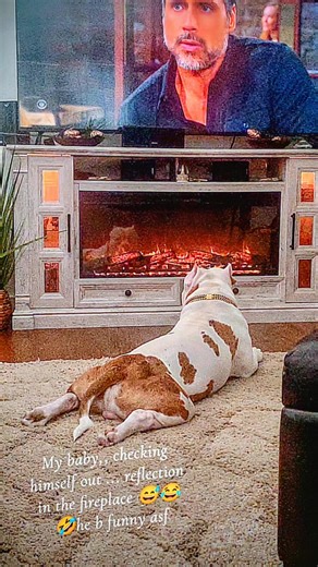 Susan Michelle Coope (@susanmichellecoop)’s videos with The Hardest Part - Olivia Dean