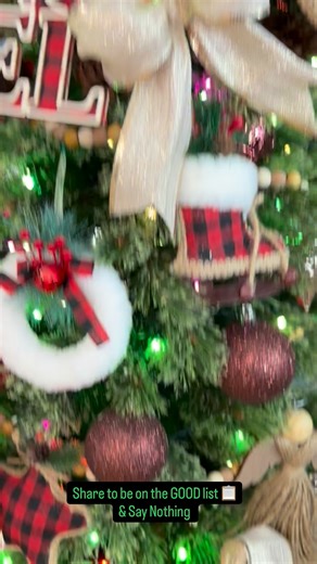 Spreading holiday cheers. Hope this made you laugh ⭐️ #christmas #boygirl #funny | Robert Garcia