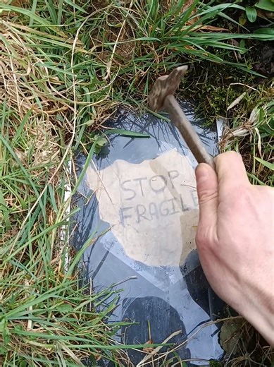 Chasse au trésor : Mon expérience avec la détection de métaux