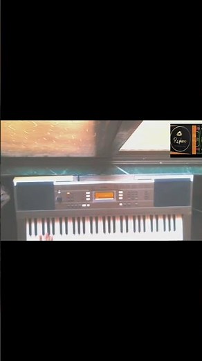 Chipi chipi chapa chapa song DJ##