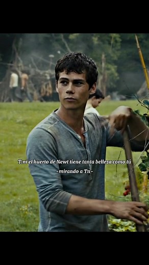 Pov:Thomas está enamorado de Tn he intenta conquistarla pero ella no es tan fácil//#mazerunner #corredor #runner #laberinto #themazerunner #cruel #shank #theglade #thomasmazerunner #dylanobrien #minhomazerunner #newtmazerunner #pov #povs #parati #fyp #fyppppp #fypシ゚viral #foryoupage #tiktokponmeenparati #xzyabc #xzbcya #capcut #tiktok @TikTok @CapCut