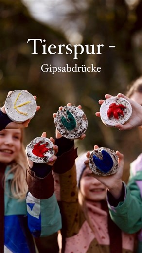 114K views · 1.3K reactions | Der Wald ist der Lebensraum so vieler...