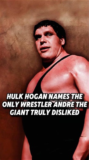 Hulk Hogan Names the Only Wrestler Andre the Giant Truly Disliked #WWE #HulkHogan #classicwrestling #wrestlers #wweuniverse