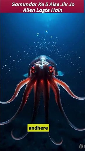 10 Unbelievable Sea Creatures You’ve Never Seen #sciencefacts #science