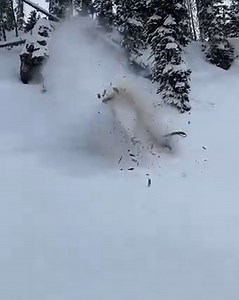 A Wild Drop Ends in Bruises, But Gear Saves the Day! 😅💥 #StayProtected | Snowmobile