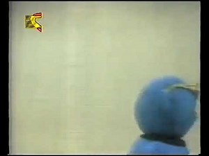 Sesame Street/Alam Simsim - Fat Cat Sat Hat (Arabic)