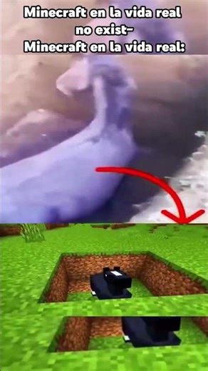 Minecraft EN LA VIDA REAL #minecraft