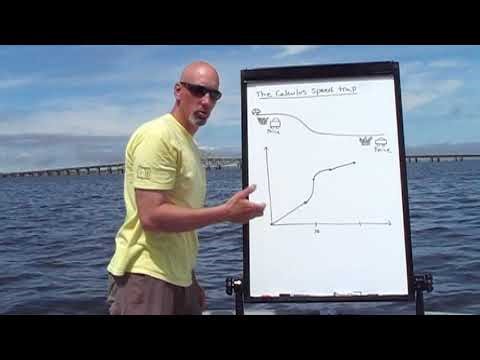 Calculus Speed Trap