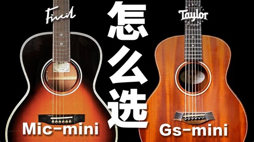 测评对比【凡喜Mic mini-泰勒Gs mini】