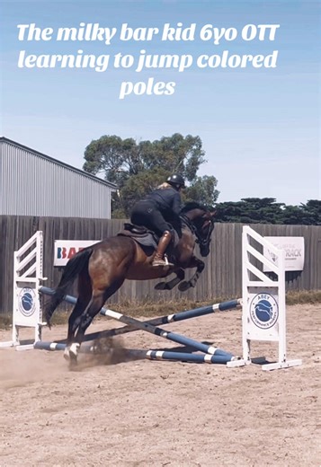 Abeyperformancehorses on TikTok