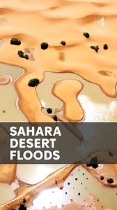 Extremely rare flooding has hit the Sahara Desert. It has been at least 30 years since the Moroccan region has seen this much rain in such a short space of time. #SaharaDesert #Africa #Flooding #C4News #Channel4News | Channel 4 News
